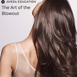 Halifax, NS - Aveda Atlantic The Art of the Blowout - November 23rd, 2026
